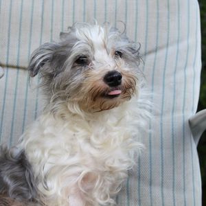 Meet your Posher, Darlene